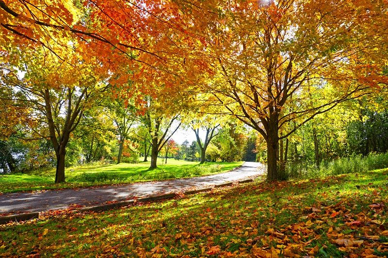 Where Is Our Metro Park at Chehalem Ridge?