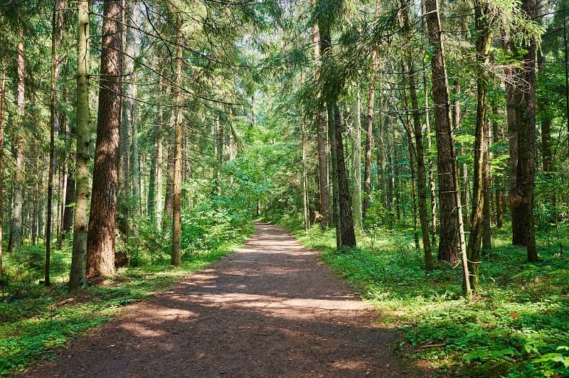 Testimony of John Charles Before the State Land Board Regarding the DSL Strategic Plan