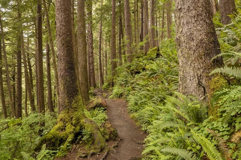 Letter to the Department of State Lands re: Draft Asset Management Plan