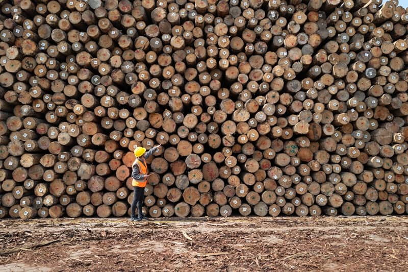 Amended Bill 3103-1 Would Hold ODF Accountable to Fulfill Its Promises on Sustainable Timber Sales