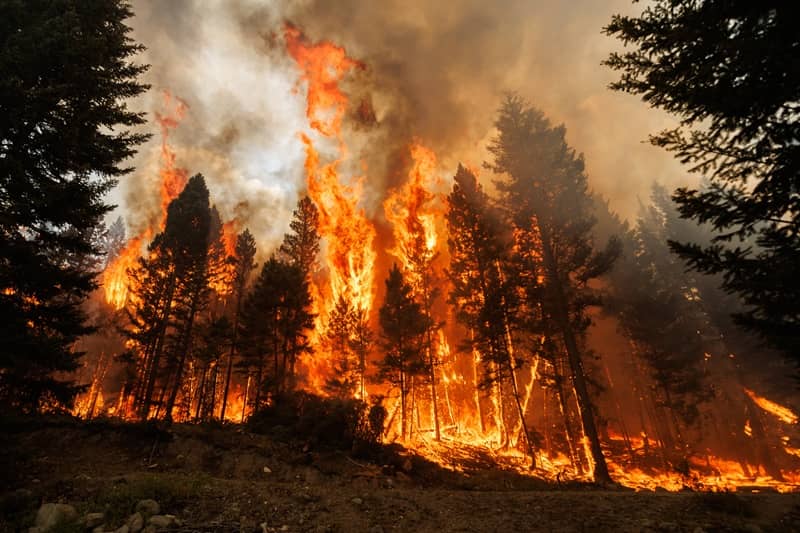 Who’s Responsible for Oregon Wildfires?